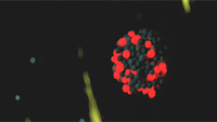 Vorschaubild zur Animation MicroCosmicEngineering