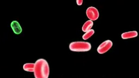 Vorschaubild zur Animation MolYsis
